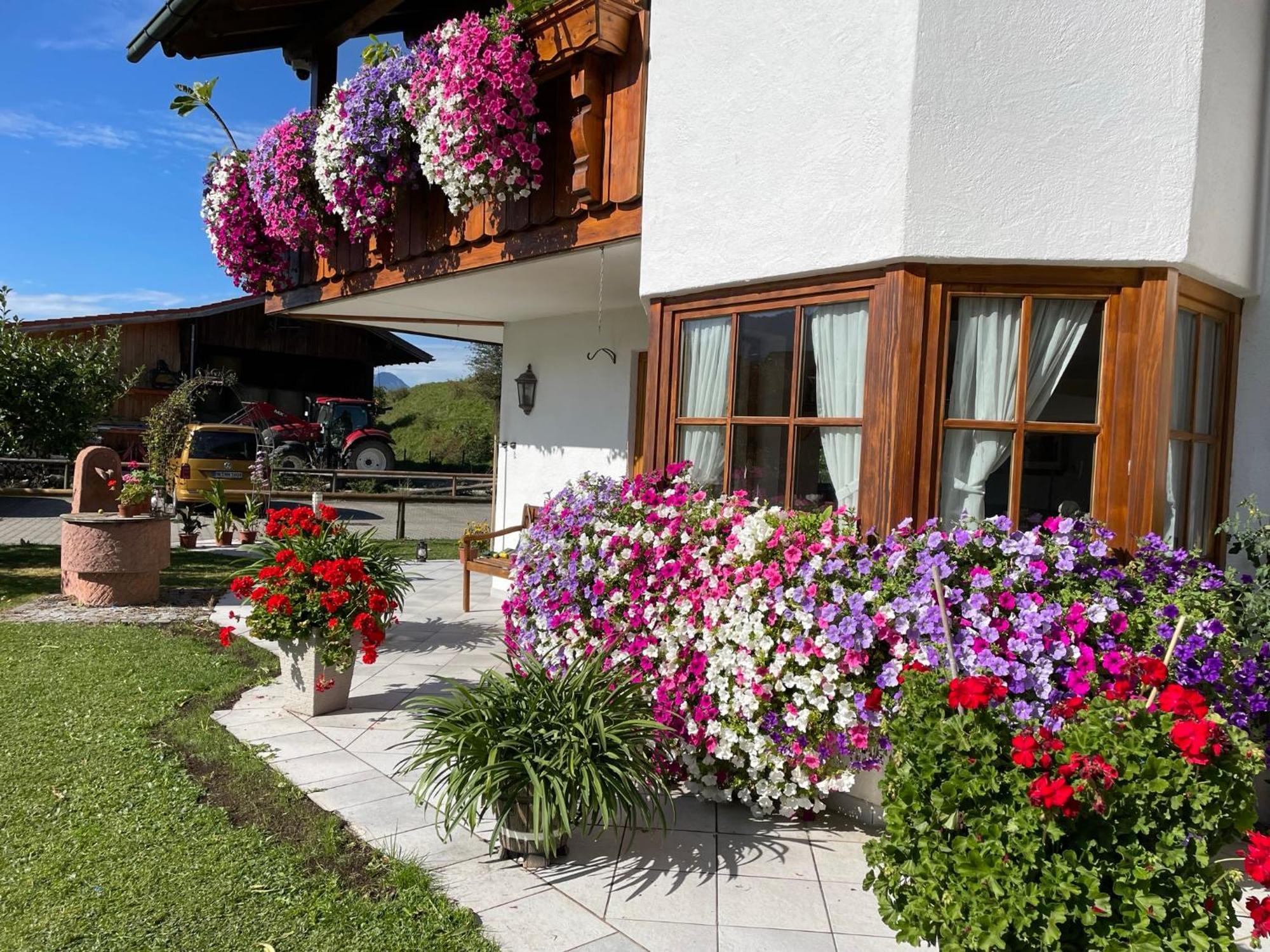 Gaestehaus Seeklause Швангау Екстериор снимка